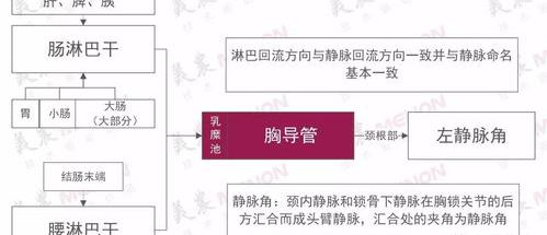 肉桂酸的制备实验改进 肉桂醛制备肉桂酸