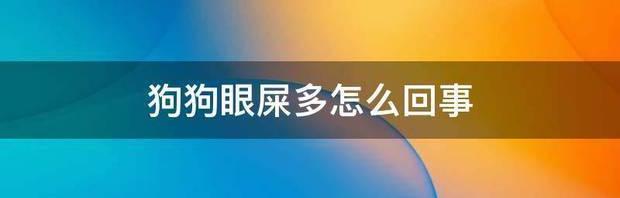 小狗有眼屎是怎么回事？ 狗狗眼屎多怎么回事