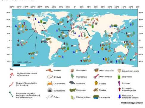 研究称由于海水温度上升全球海洋生物正在迁移