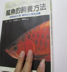 养热带鱼需要什么、注意什么？ 热带鱼的养殖方法和注意事项