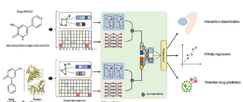 药物药物相互作用和药物靶标相互作用预测的深度学习框架