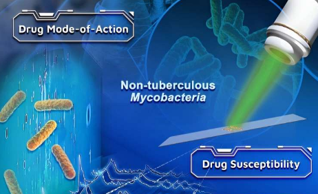 基于拉马诺姆的技术将分枝杆菌抗菌药敏测试缩短至24小时