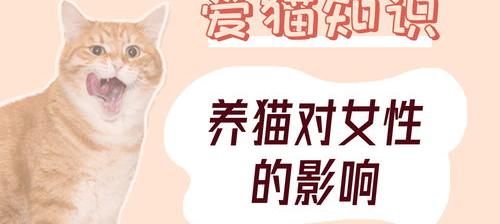 女孩养猫的好处和坏处 女人养猫的十大坏处