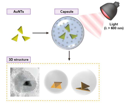 使用纳米胶囊中的金纳米颗粒组装三维结构的新技术