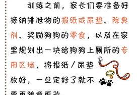 怎么让小狗在指定地点拉屎 如何教狗狗在固定地方大小便