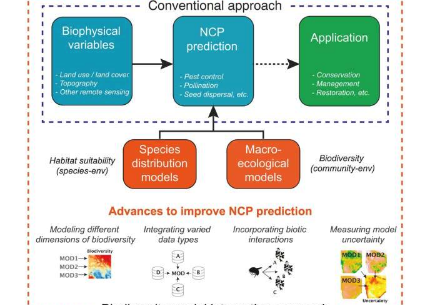 生物多样性建模的进步改善了对自然对人类贡献的预测
