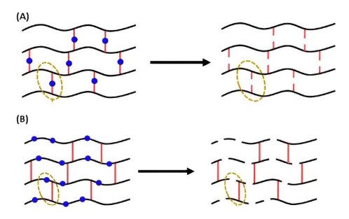 使用网络科学绘制曼哈顿计划科学家之间的关系