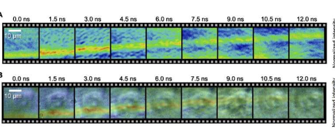 采用改进的纳秒成像技术拍摄冲击波穿过单个细胞
