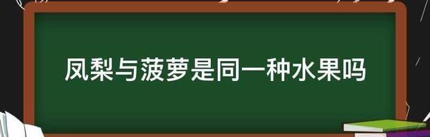 凤梨与菠萝是同一种水果吗 凤梨和菠萝是同一种水果吗