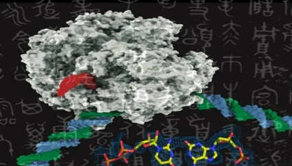 酶无法区分人工DNA和真实DNA