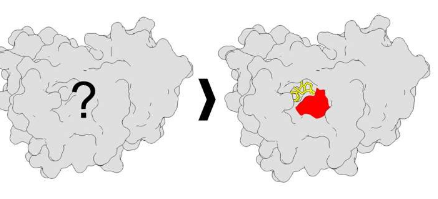 新的作图方法阐明了蛋白质上的可药物位点