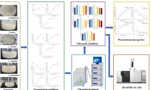 检查超声波辅助发酵对中国黄酒的影响