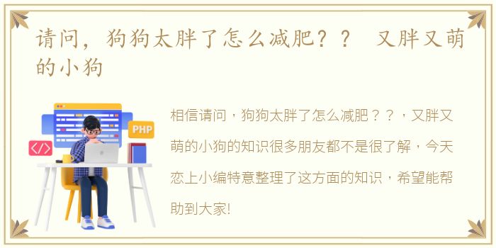 请问，狗狗太胖了怎么减肥？？ 又胖又萌的小狗