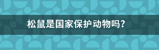 松鼠是国家保护动物吗？ 松鼠是国家保护动物吗