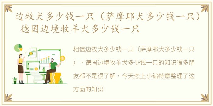 边牧犬多少钱一只（萨摩耶犬多少钱一只） 德国边境牧羊犬多少钱一只