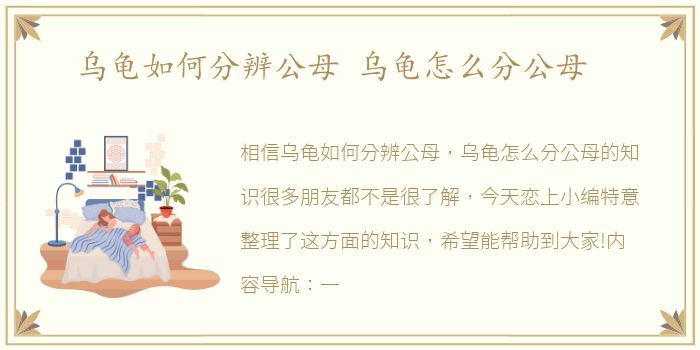 乌龟如何分辨公母 乌龟怎么分公母