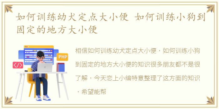 如何训练幼犬定点大小便 如何训练小狗到固定的地方大小便