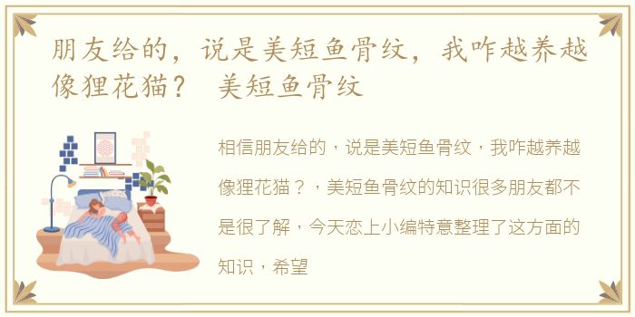 朋友给的，说是美短鱼骨纹，我咋越养越像狸花猫？ 美短鱼骨纹