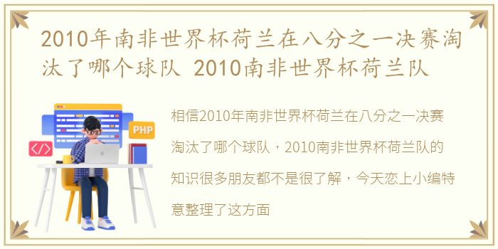 2010年南非世界杯荷兰在八分之一决赛淘汰了哪个球队 2010南非世界杯荷兰队