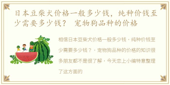 日本豆柴犬价格一般多少钱，纯种价钱至少需要多少钱？ 宠物狗品种的价格