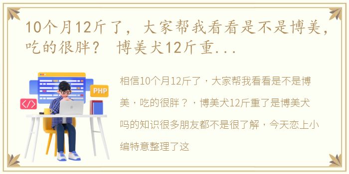 10个月12斤了，大家帮我看看是不是博美，吃的很胖？ 博美犬12斤重了是博美犬吗