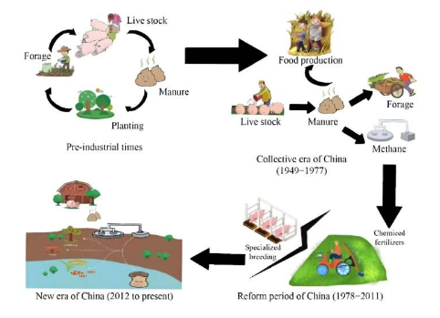 探索从古至今不同历史语境下农作物与牲畜的融合