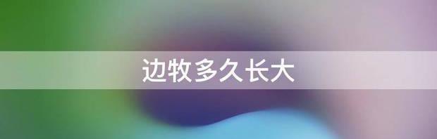 边牧多久长大 边牧长到几个月才听话