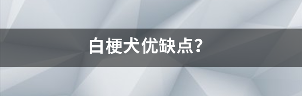 白梗犬优缺点？ 梗犬特点和缺点