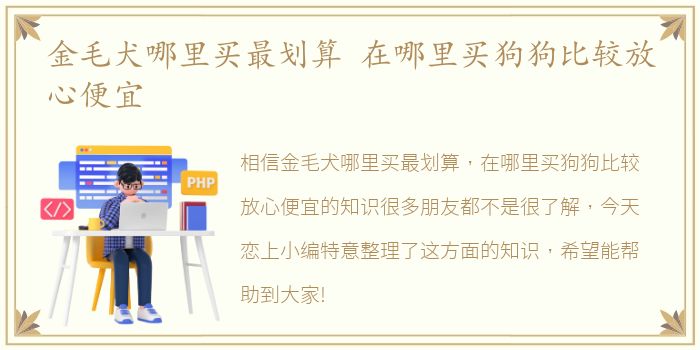 金毛犬哪里买最划算 在哪里买狗狗比较放心便宜