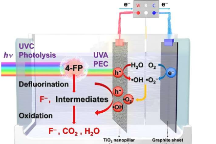 PEC 同步脱氟氧化降解氟代芳烃