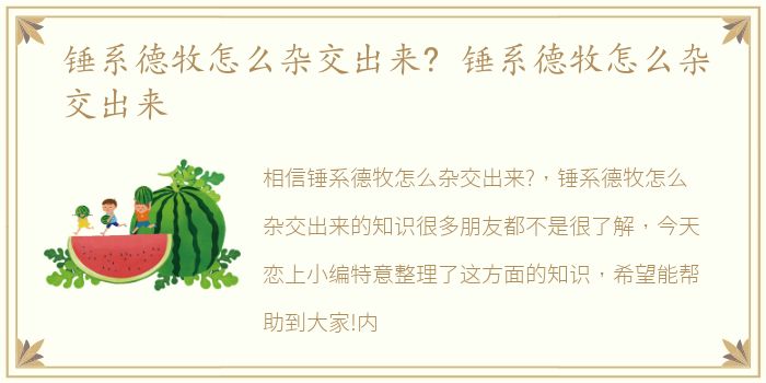 锤系德牧怎么杂交出来? 锤系德牧怎么杂交出来