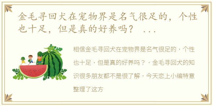 金毛寻回犬在宠物界是名气很足的，个性也十足，但是真的好养吗？ 金毛寻回犬