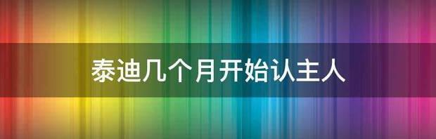 泰迪几个月开始认主人 杜宾犬几个月开始认主人