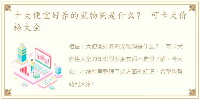 十大便宜好养的宠物狗是什么？ 可卡犬价格大全