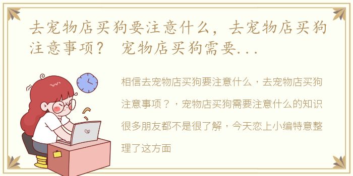 去宠物店买狗要注意什么，去宠物店买狗注意事项？ 宠物店买狗需要注意什么