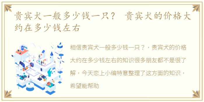 贵宾犬一般多少钱一只？ 贵宾犬的价格大约在多少钱左右