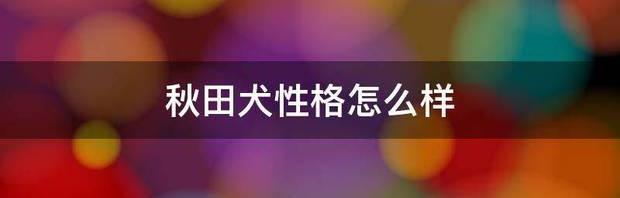 秋田犬性格怎么样 美系秋田犬性格和缺点