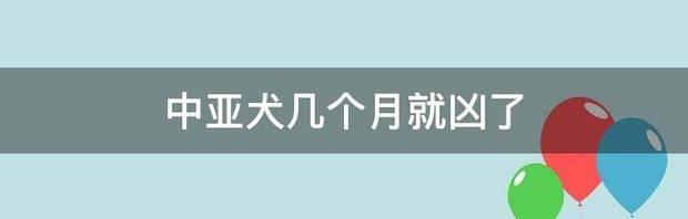 中亚犬几个月就凶了 4至5个月的中亚犬