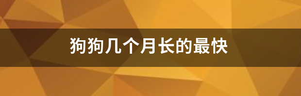 狗狗几个月长的最快 中亚犬几个月生长最快