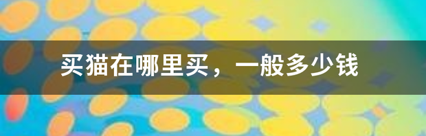 买猫在哪里买，一般多少钱 正规猫舍买猫流程