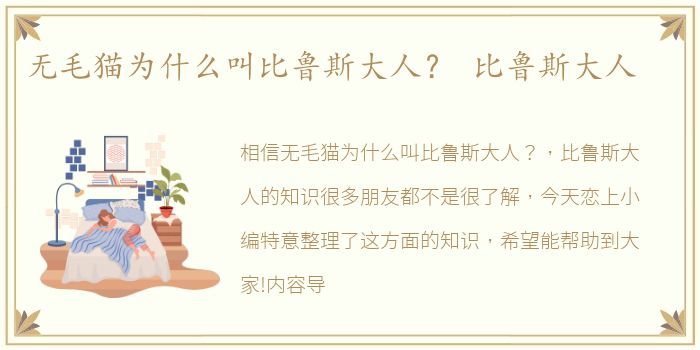 无毛猫为什么叫比鲁斯大人？ 比鲁斯大人