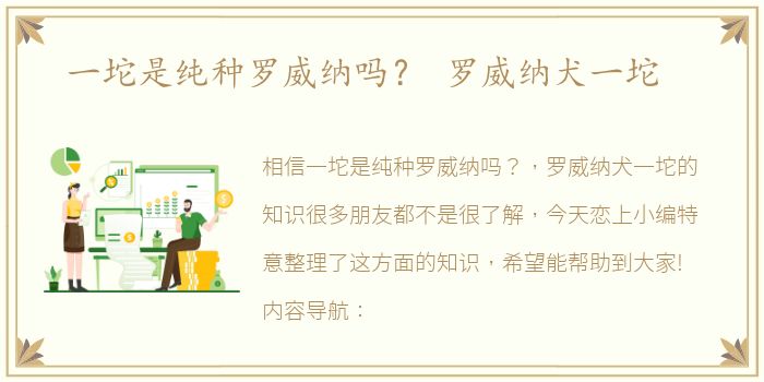 一坨是纯种罗威纳吗？ 罗威纳犬一坨