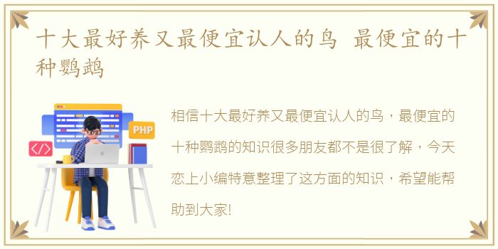 十大最好养又最便宜认人的鸟 最便宜的十种鹦鹉