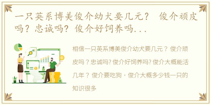 一只英系博美俊介幼犬要几元？ 俊介顽皮吗？忠诚吗? 俊介好饲养吗? 俊介大概能活几年？ 俊介要吃狗 俊介大概多少钱一只