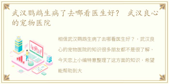 武汉鹦鹉生病了去哪看医生好？ 武汉良心的宠物医院