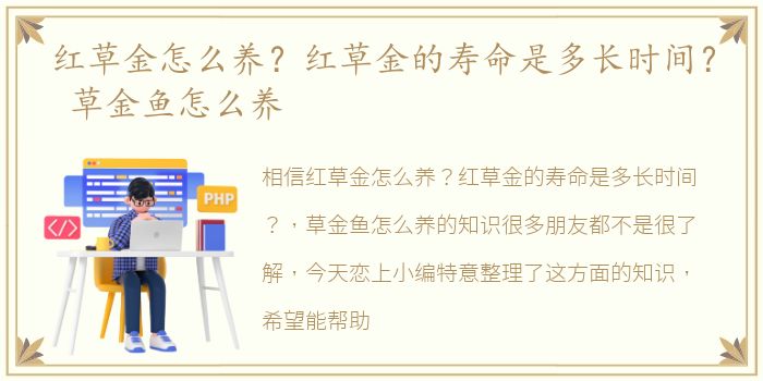 红草金怎么养？红草金的寿命是多长时间？ 草金鱼怎么养