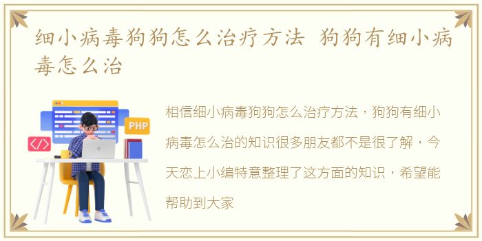 细小病毒狗狗怎么治疗方法 狗狗有细小病毒怎么治