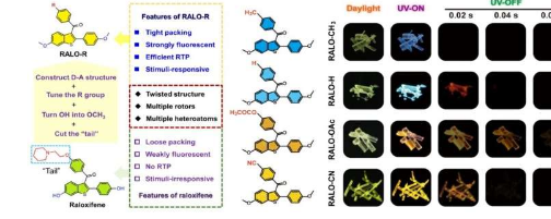 将雷洛昔芬定制为单组分分子晶体用于多级刺激响应磷光