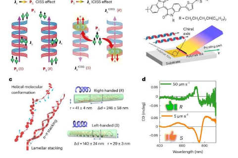 印刷聚合物使研究人员能够在室温下探索手性和自旋相互作用