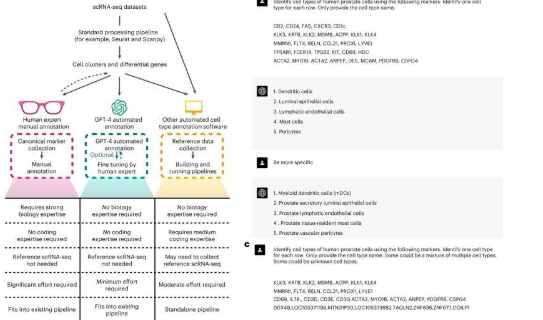 用于识别单细胞中的细胞类型的GPT-4匹配甚至有时优于专家方法